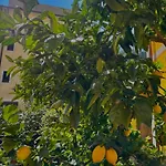 شقة Casa Mia راباللو